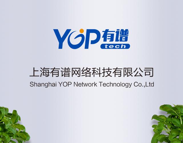 数字化浪潮下的践行者 上海有谱网络科技的技术服务之道